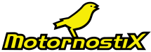motornostix logo
